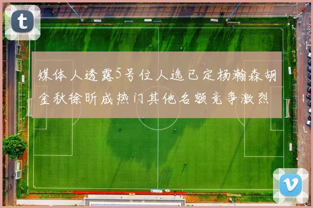 媒体人透露5号位人选已定杨瀚森胡金秋徐昕成热门其他名额竞争激烈