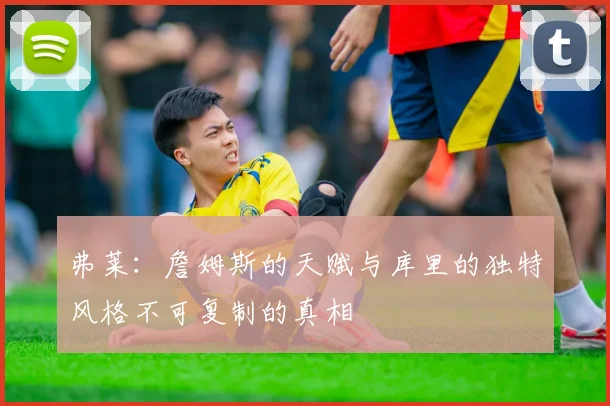 弗莱：詹姆斯的天赋与库里的独特风格不可复制的真相